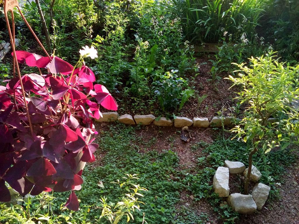 Oaza Guest House Sveti Stefan Ngoại thất bức ảnh