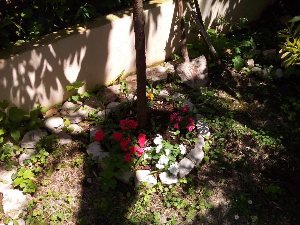 Oaza Guest House Sveti Stefan Ngoại thất bức ảnh
